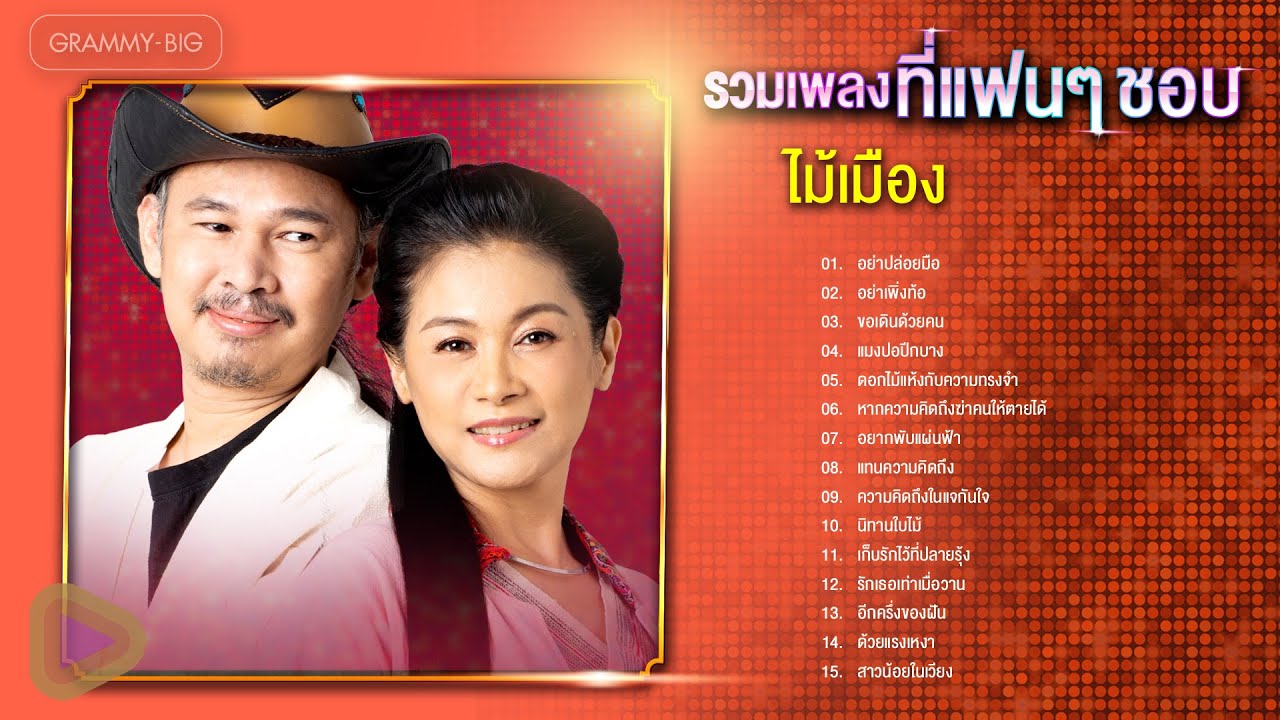 รวมเพลง ไม้เมือง ที่แฟนๆ ชอบ l อย่าปล่อยมือ, อย่าเพิ่งท้อ, แมงปอปีกบาง, ดอกไม้แห้งกับความทรงจำ