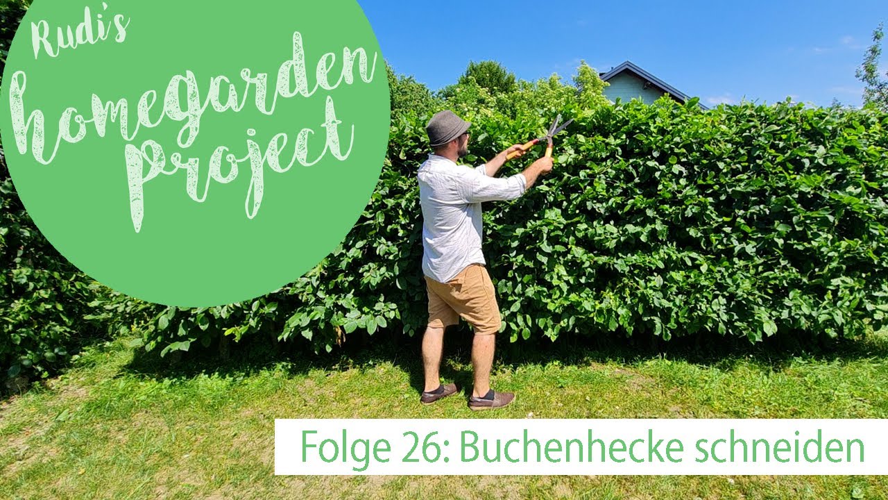 Hecke schneiden - Folge 26 - Wie du deine Buchenhecke richtig stutzt