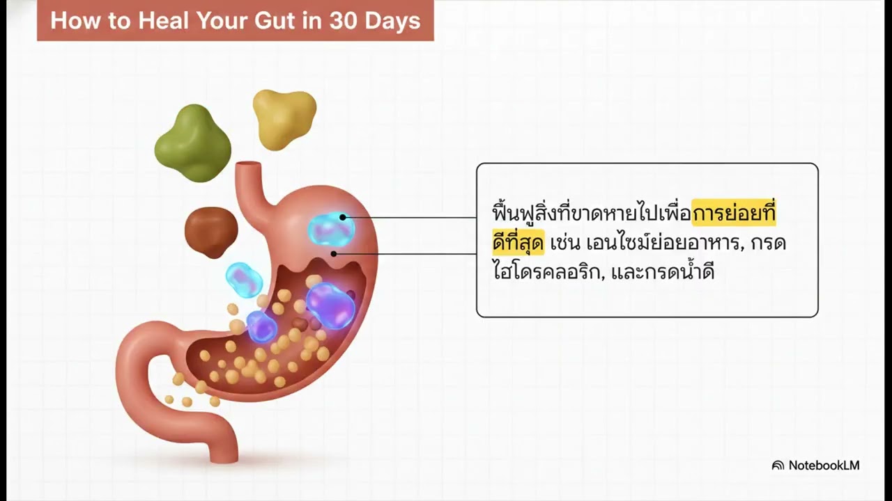 การฟื้นฟูลำไส้ให้กลับมาแข็งแรงใน 30 วัน 