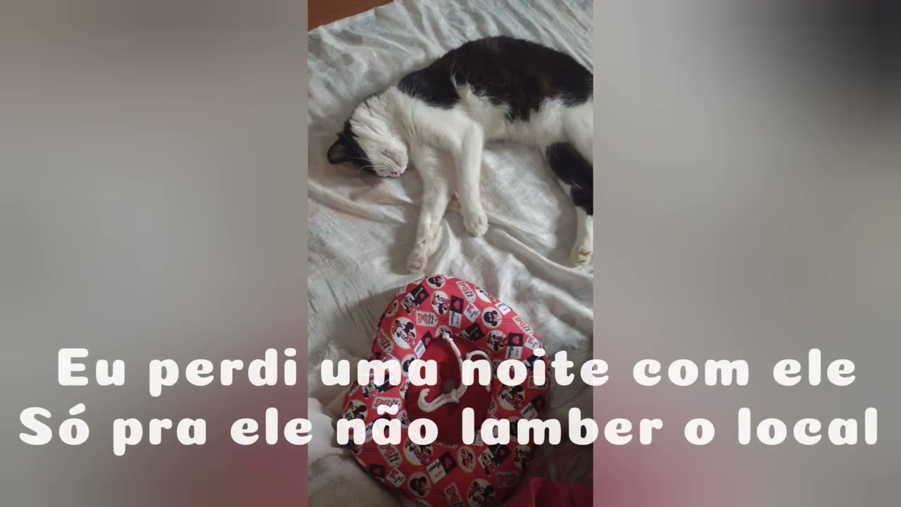 2 de fevereiro de 2026