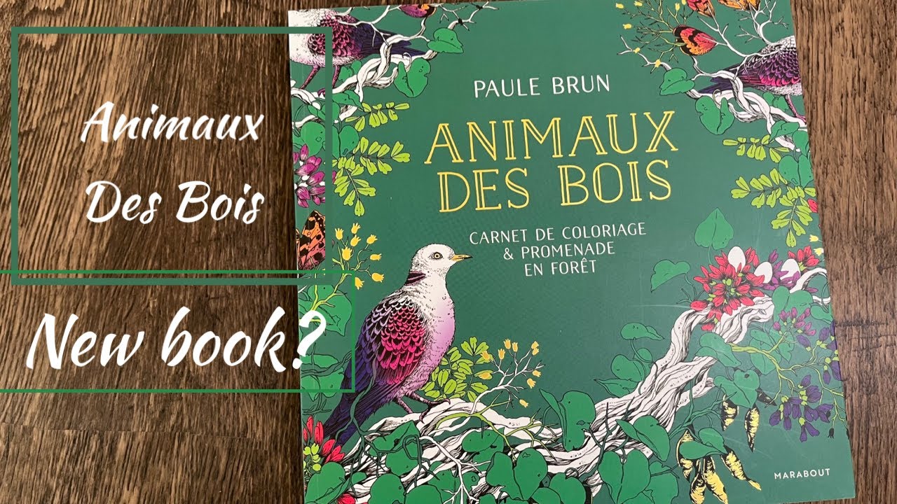 Flip Through of Animaux Des Bois ~ Paule Brun