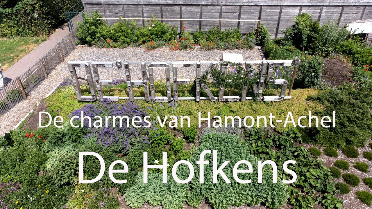 De charmes van Hamont-Achel, De Hofkens