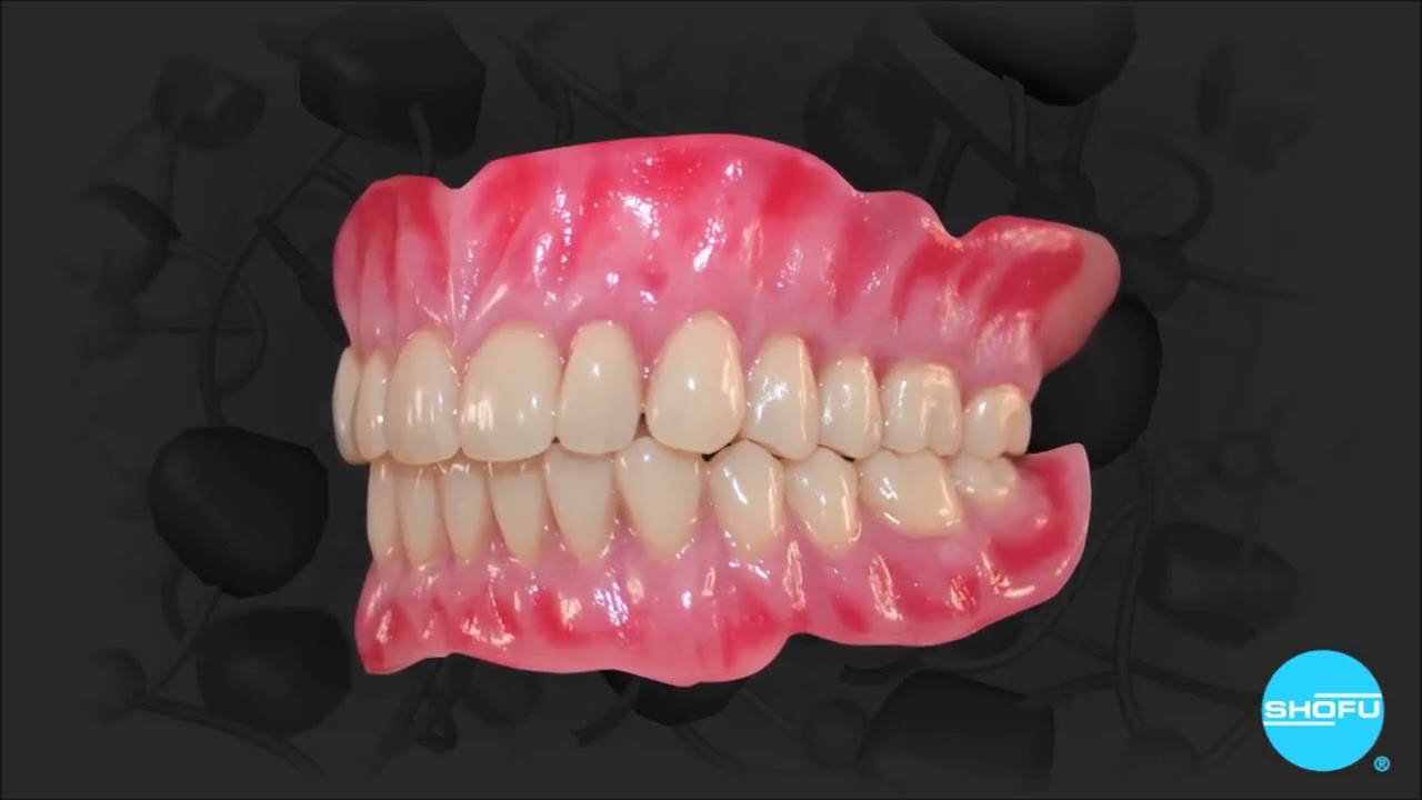 Shofu Veracia SA - Denti semi-anatomici con supporto di montaggio