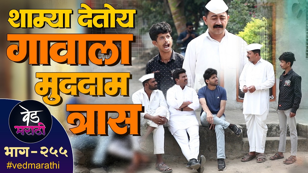 शाम्या देतोय गावाला मुद्दाम त्रास | वेड मराठी भाग - २५५ | Ved Marathi Episode - 255