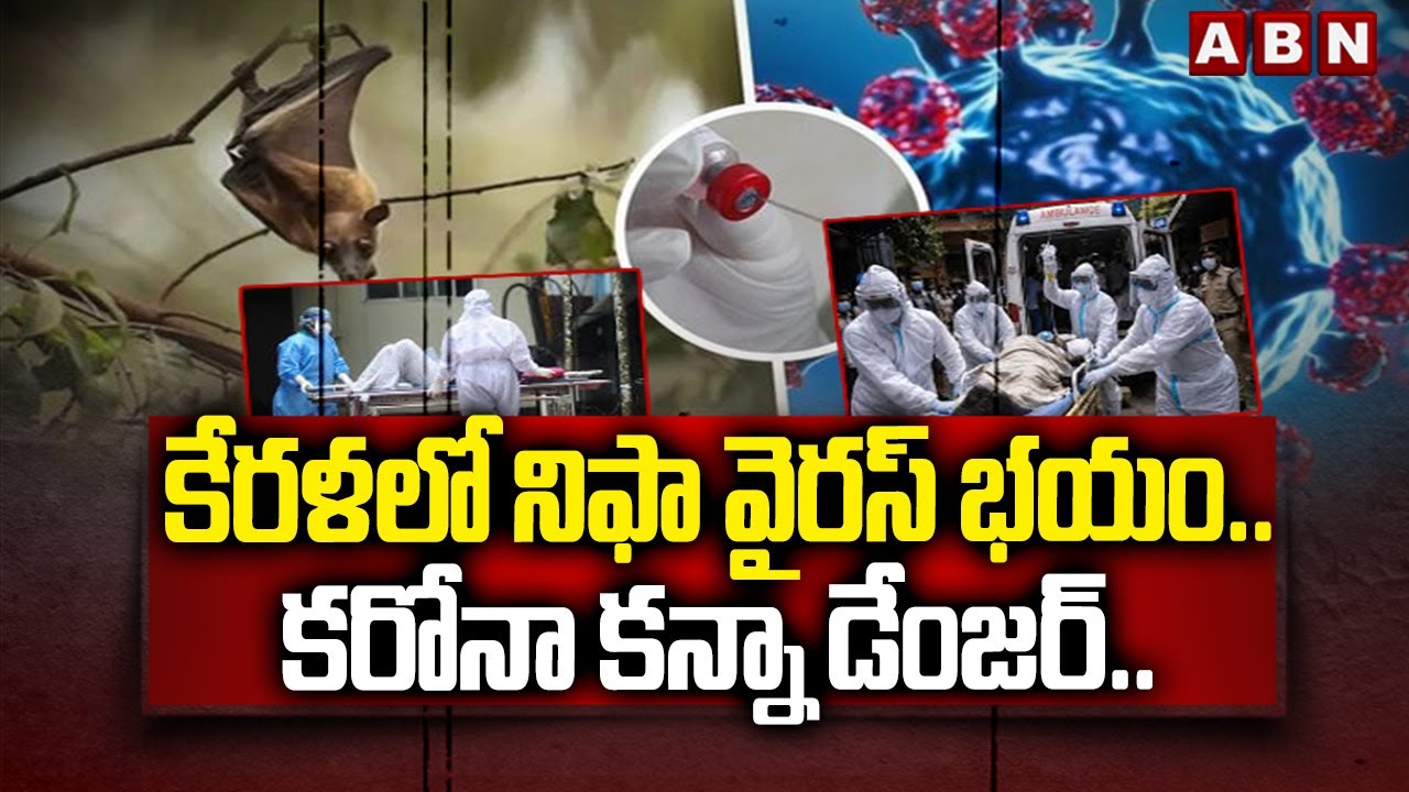 కేరళలో నిఫా వైరస్ భయం.. కరోనా కన్నా డేంజర్.. || Nipah Virus || ABN Telugu