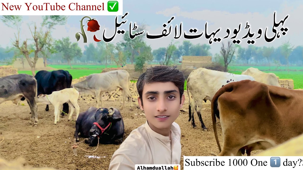 First Vlogs dasi ￼lifestyle ￼😘2026
