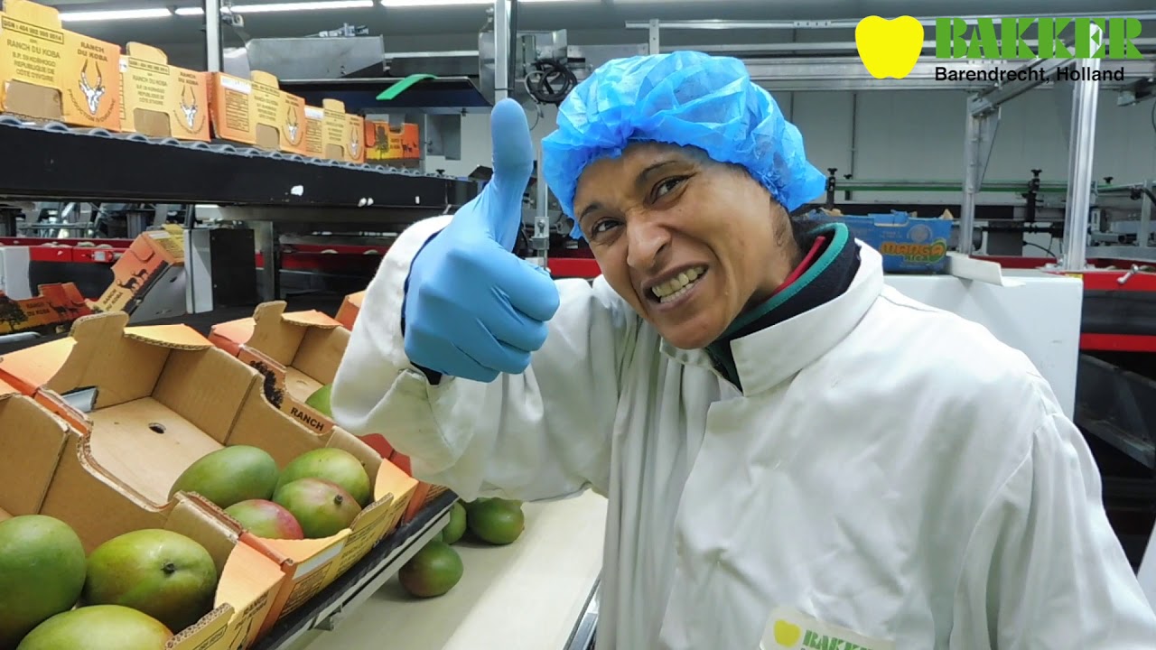 Anaticha Mango Bakker Barendrecht