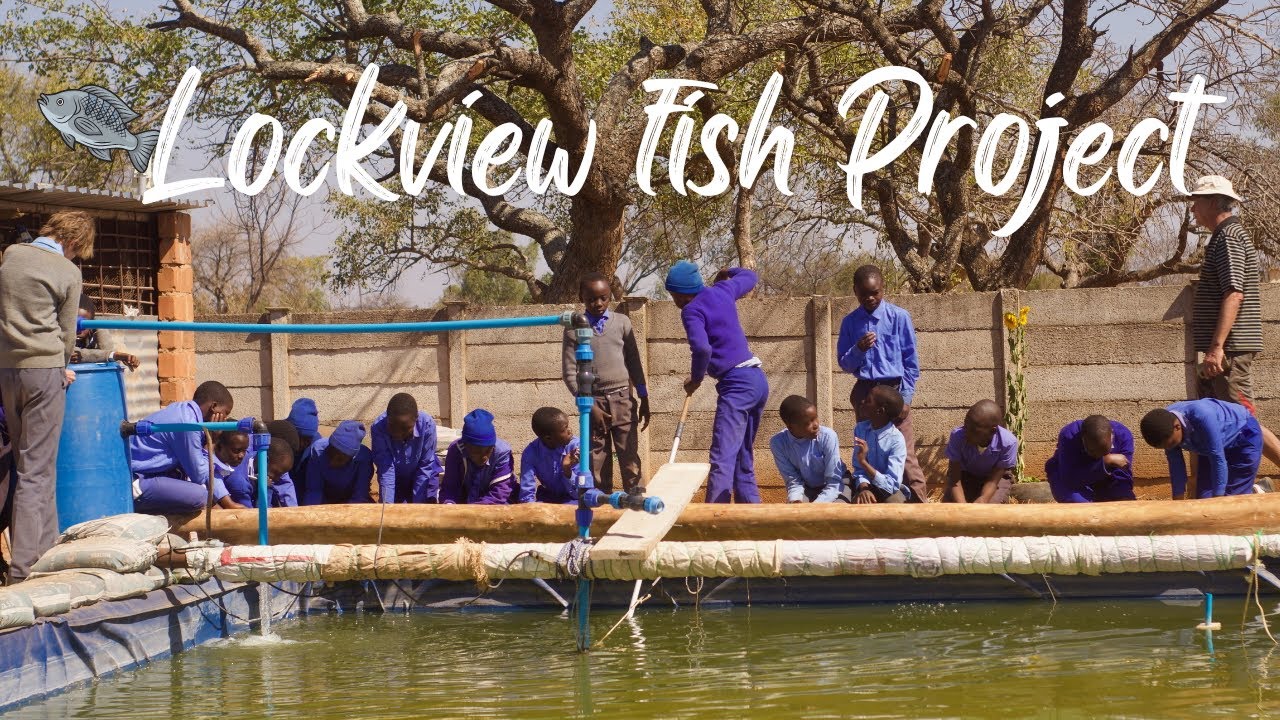 ⁠⁠How a Community is Building a Big Fish Farm in Bulawayo, Zimbabwe!