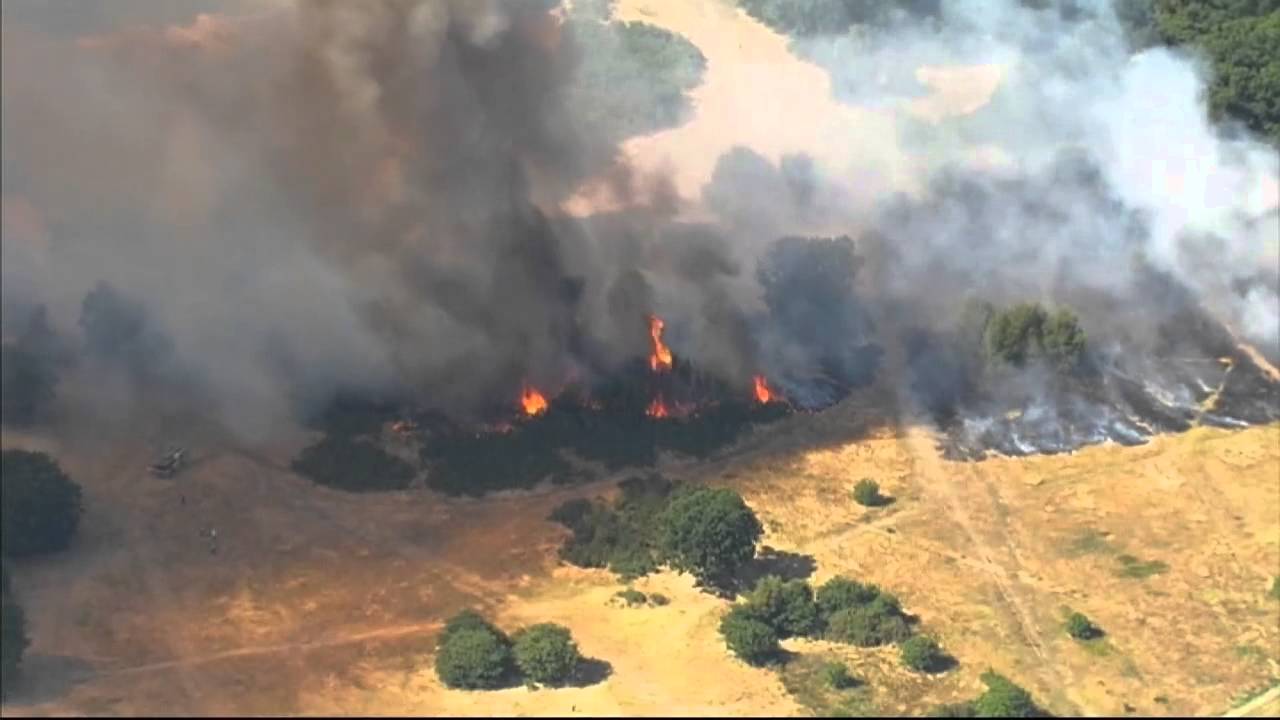 Firefighters tackle grass fire in East London