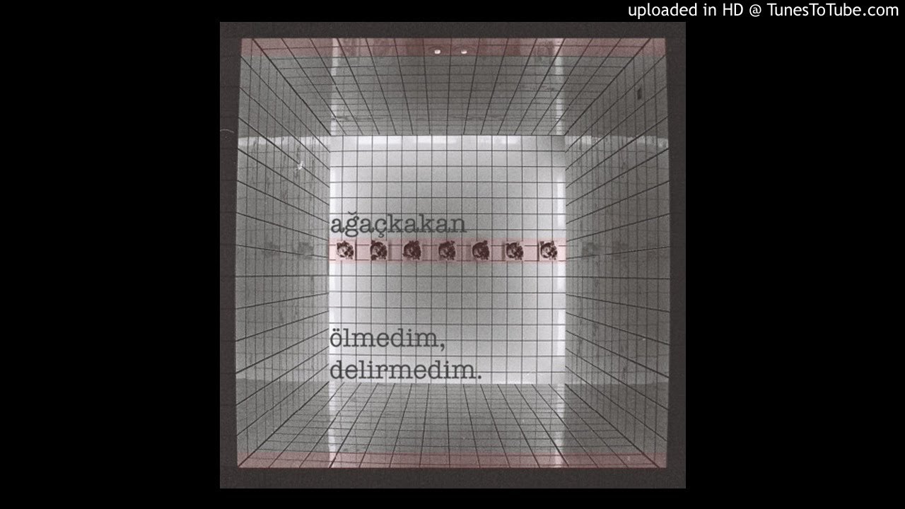 ağaçkakan - ölmedim, delirmedim