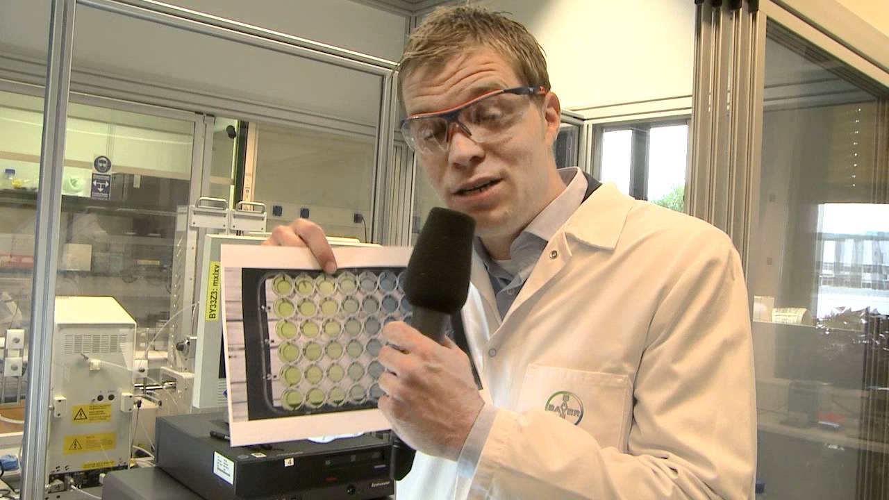 Bayer CropScience Discovery Day 2011
