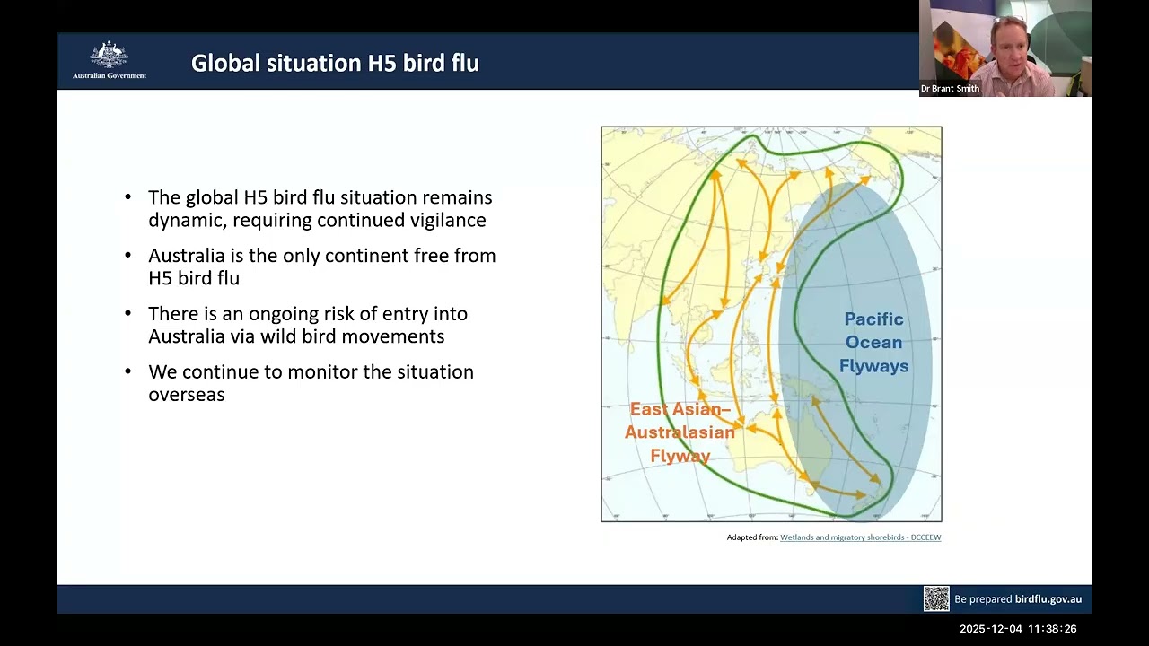 H5 Bird Flu webinar | HPAI preparedness