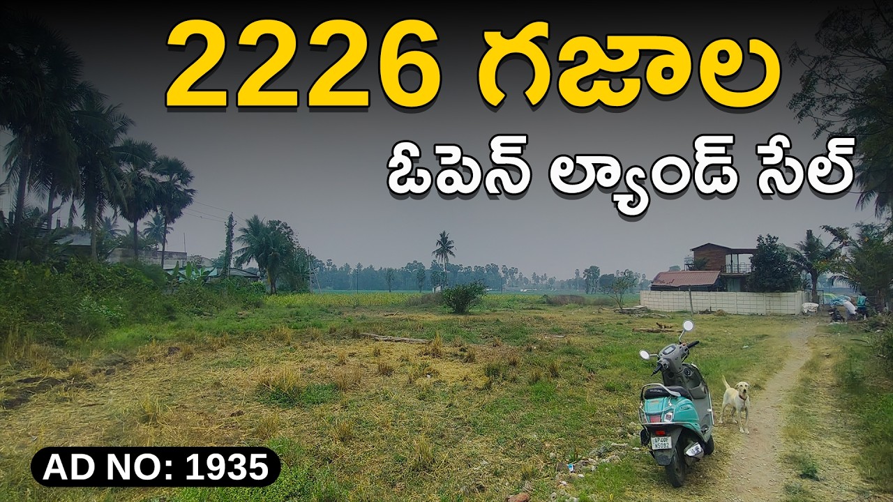 2226 Sq.Yards Open Land | Super Property | Bank Auction Sale | #tenali