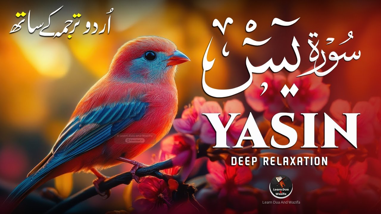 Surah Yasin (Yaseen) سورة يس | Soothing Quran Recitation for Peace & Serenity | EP-269