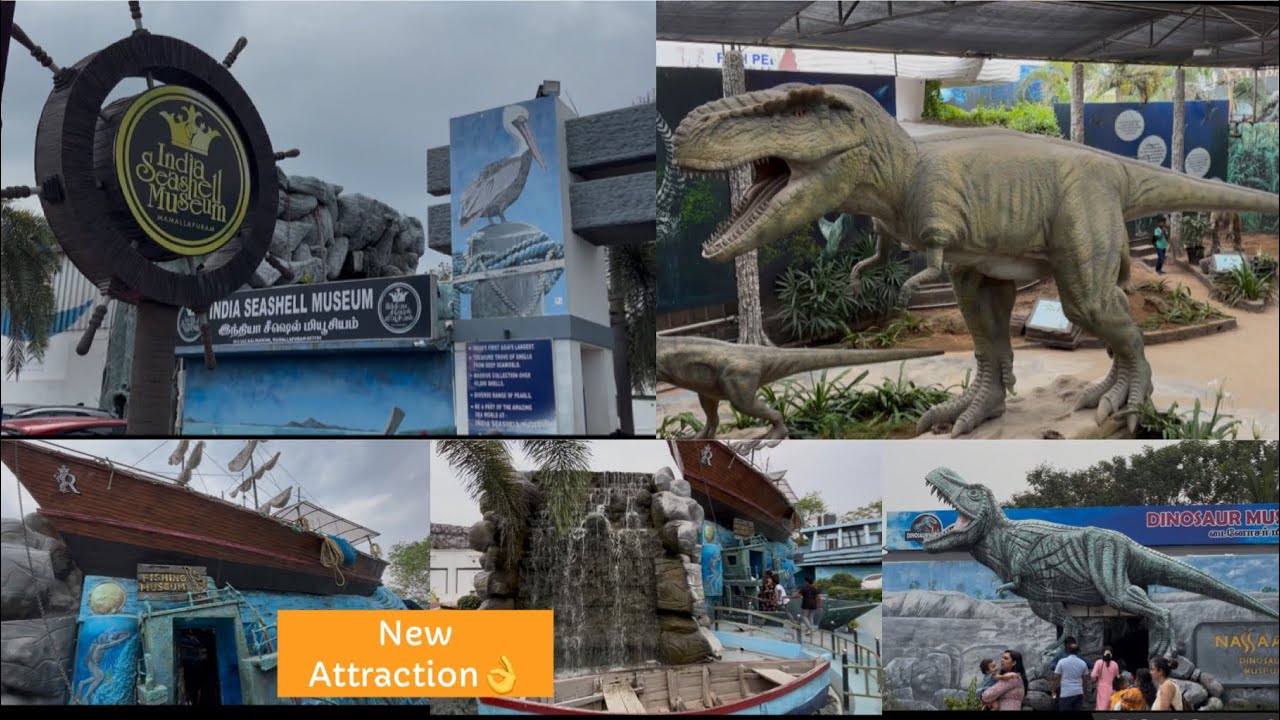 Latest video of India Seashell Museum | NASA Museum @ ECR, Mahabalipuram (Dinosaur Museum)