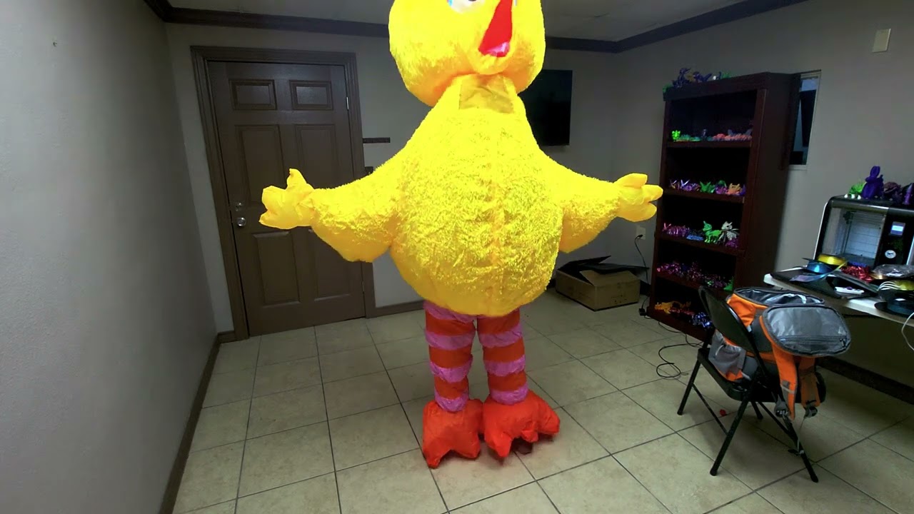 inflatable big bird costume!