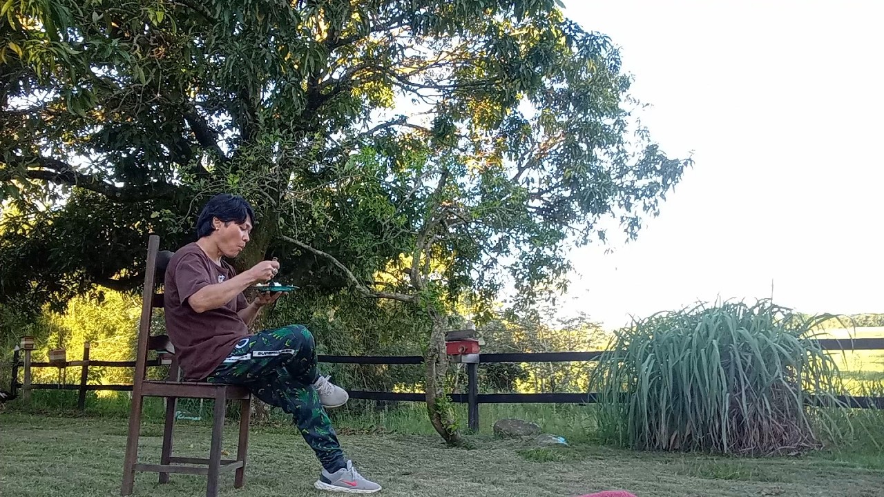 Uma refeição na paz da natureza 
