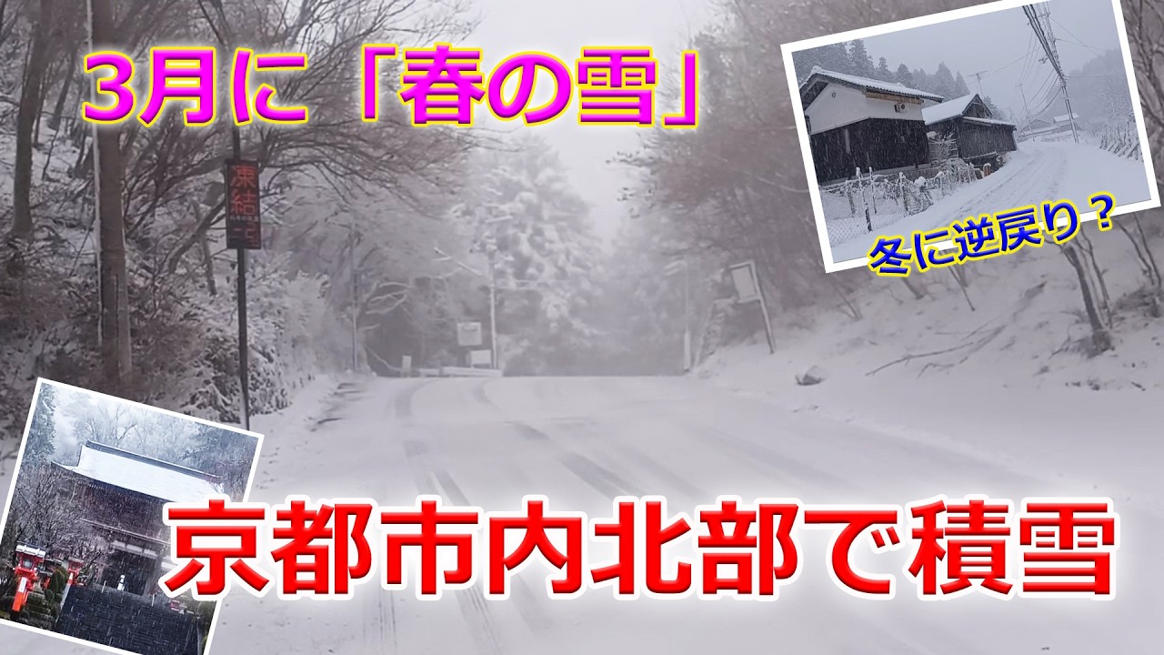 「春の雪」冬に逆戻り？京都市内北部で積雪（2026年3月10日　京都市左京区）Is winter back? Snowfall in northern Kyoto city