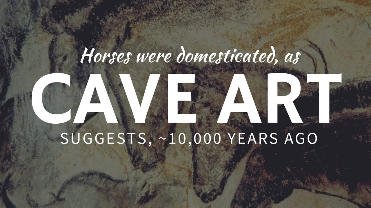 First domesticated HORSES in the ancient cave art in Eurasia