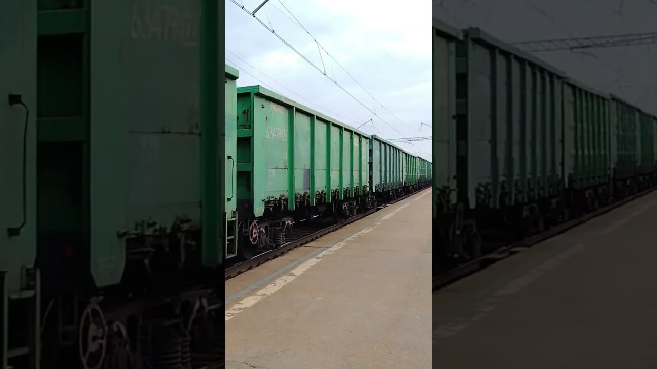 Приветливый 2ЭС6-323 проезжает о.п 203 км #рекомендации #поезд #ржд