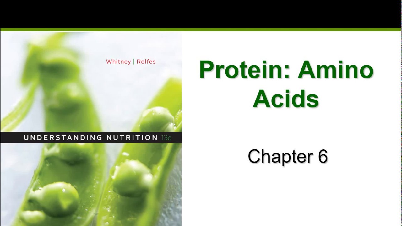 Protein (Chapter 6)