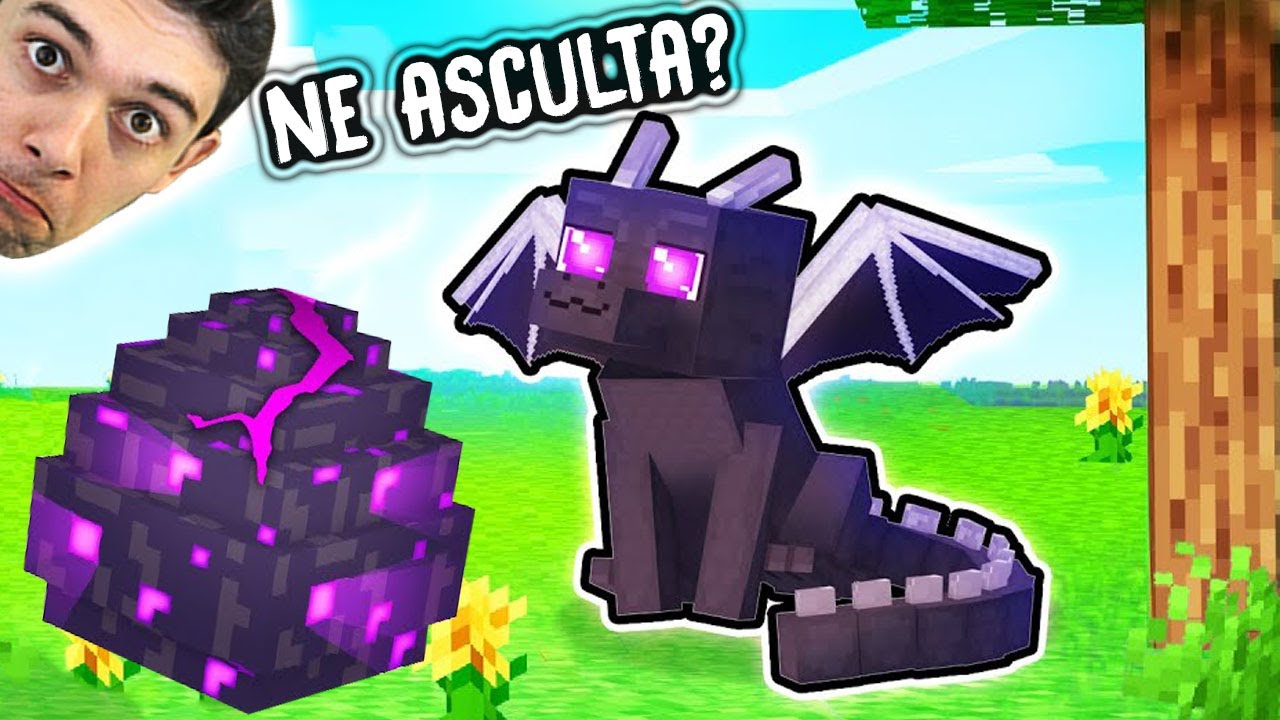 Am GASIT Un PUI De DRAGON ! Ce FACEM ?