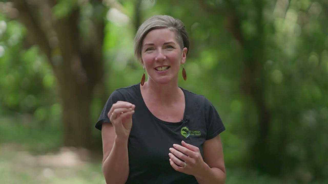 The Forest Bridge Trust: Weaving a Lifeline for Nature