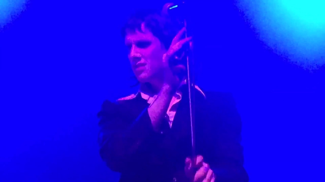 Foxygen - Trauma - Live in LA (4/8/17)
