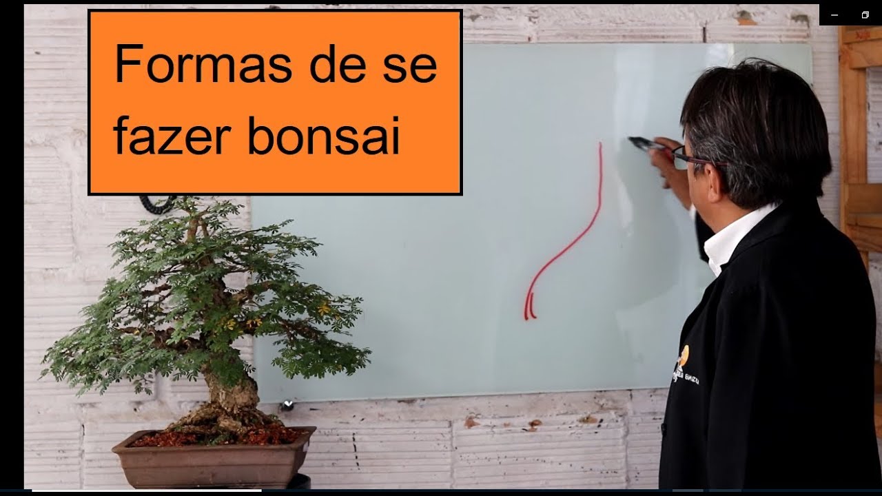 Formas de se fazer bonsai 1
