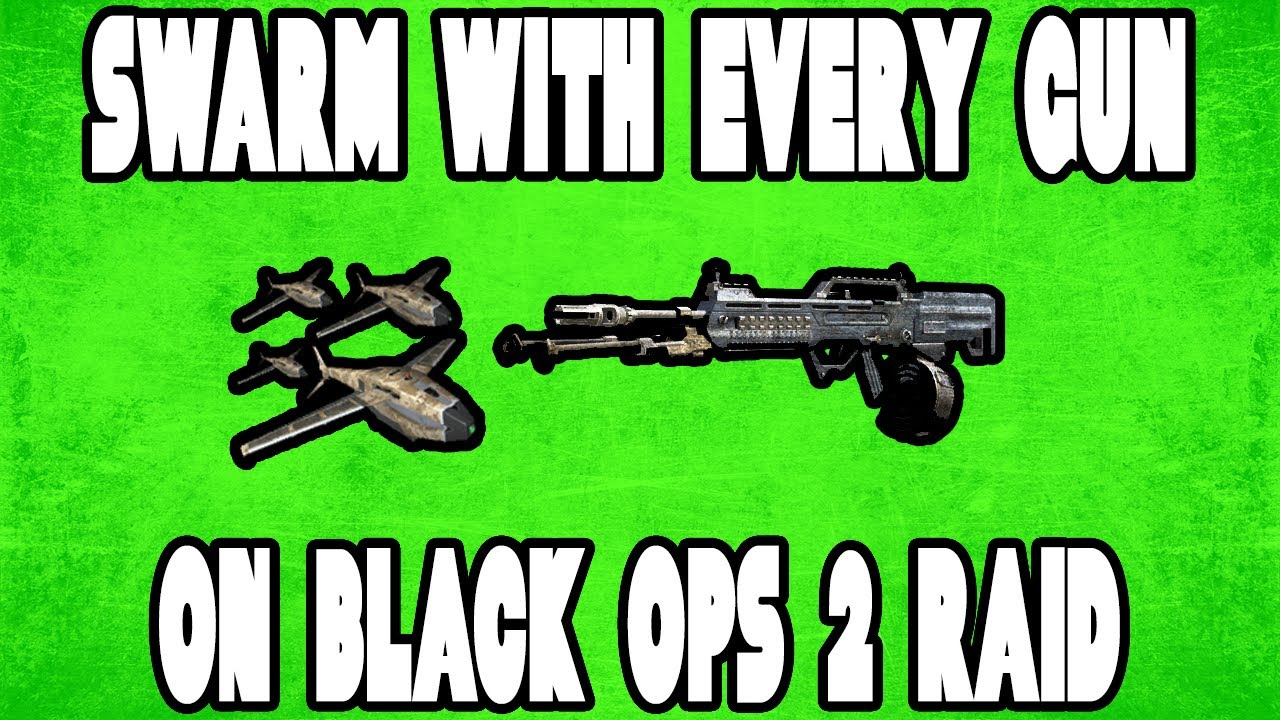 Black Ops 2 - Swarm With Every Gun - QBB LSW
