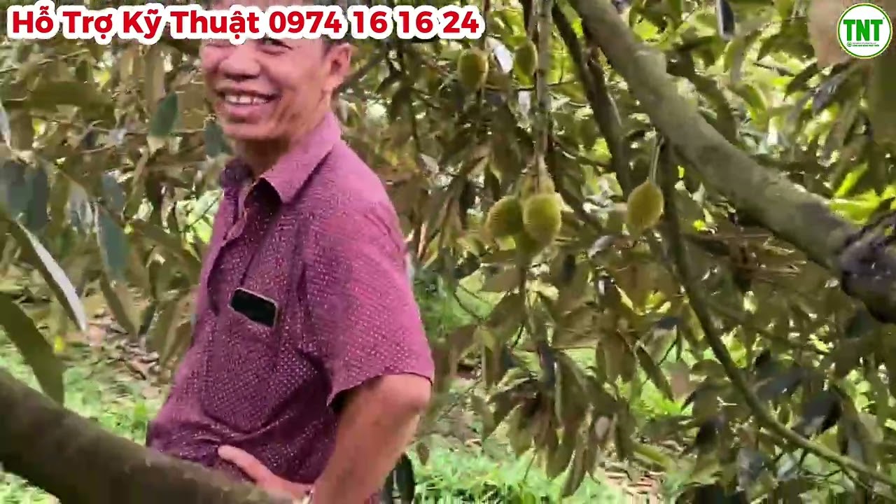 Mưa Trái Mùa Rơi Vào Con Nước Rằm Tháng Giêng Khả Năng Sẽ Mưa Nhiều và Kéo Dài, Bà Con Nên Lưu Ý