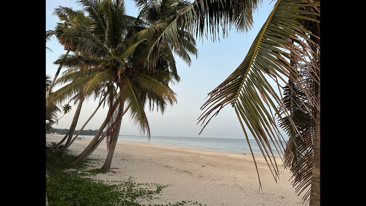 Из провинции Чумпхон в провинцию Сураттани ￼￼