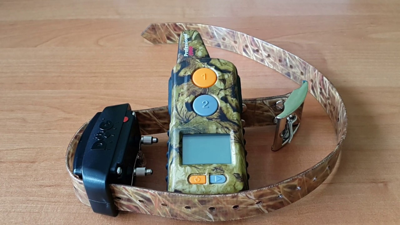 D-control 2000 Dogtrace Professional elektroniskā apkakle