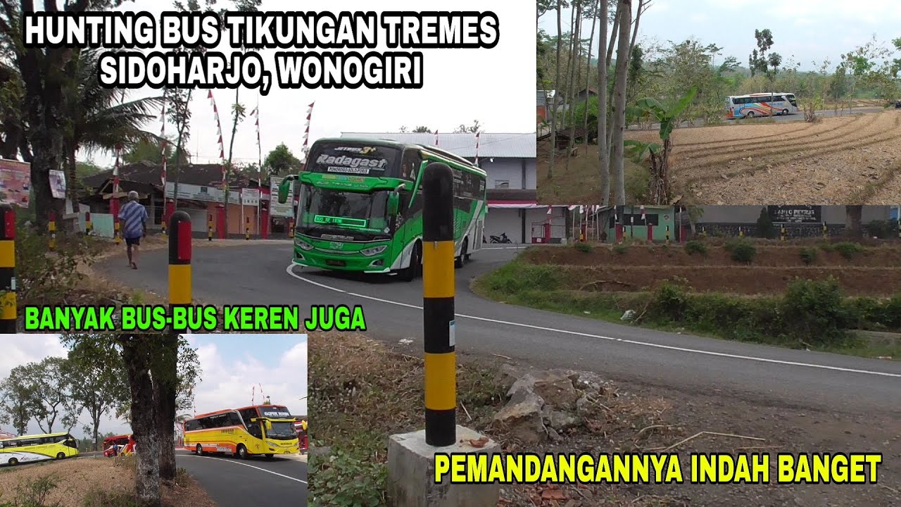 Hunting Bus Tikungan Tremes Sidoharjo, Wonogiri