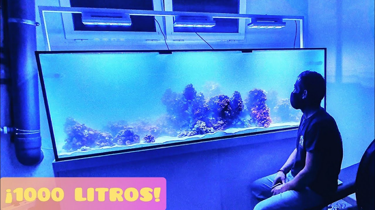 ACUARIO MARINO DE 1000 LITROS / 265 GALLON REEF TANK