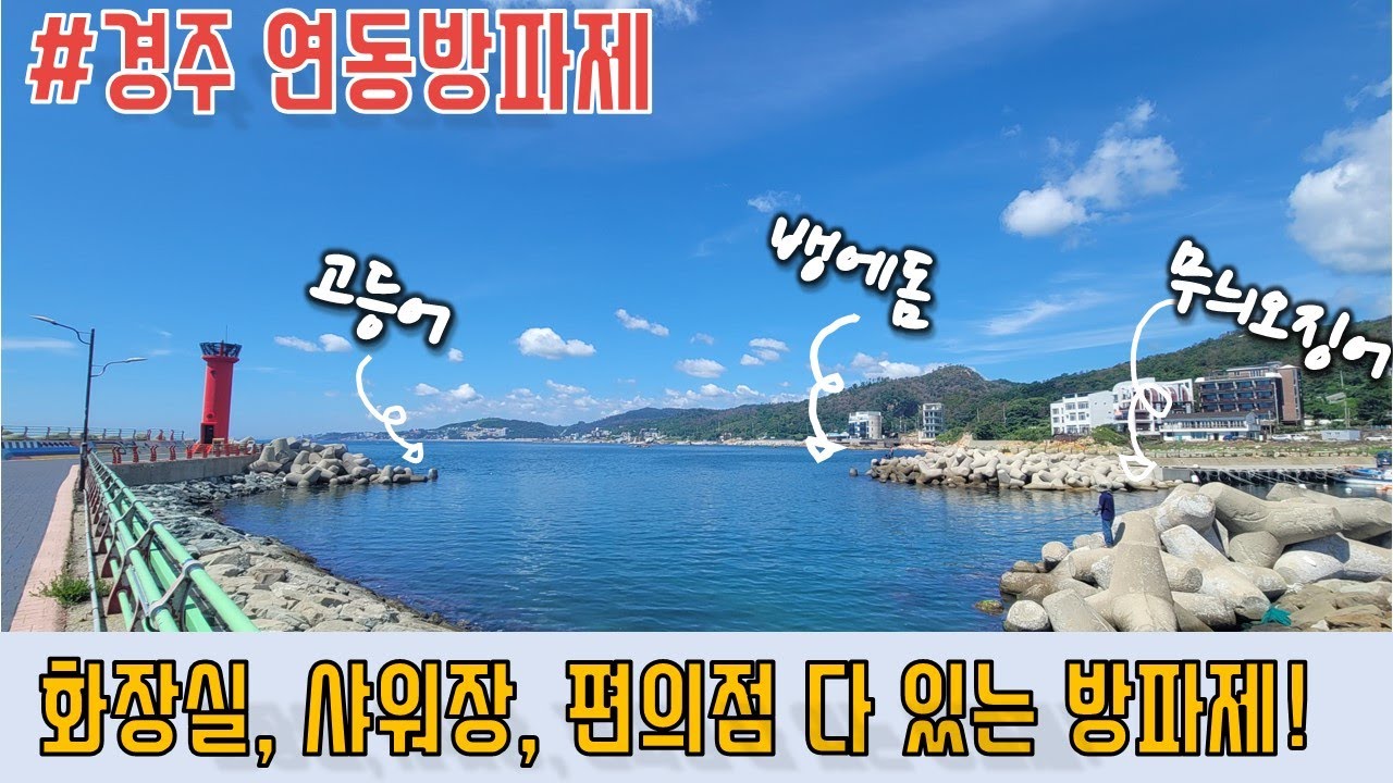 편의시설 빵빵한 방파제 포인트!! 뱅에 고등어 무늬 다나온다!! #fishing #낚시포인트 #낚시 #경주낚시 #무늬오징어 #angler #바다