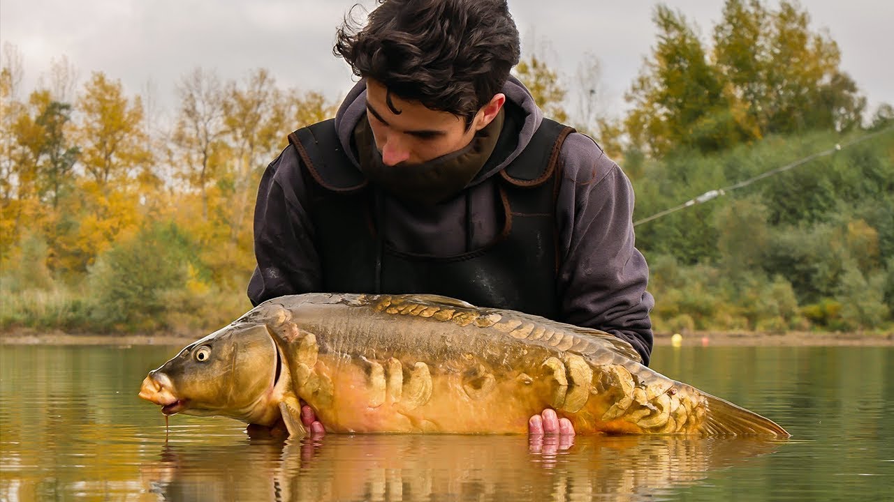 L'automne, la meilleure saison pour pêcher la carpe !