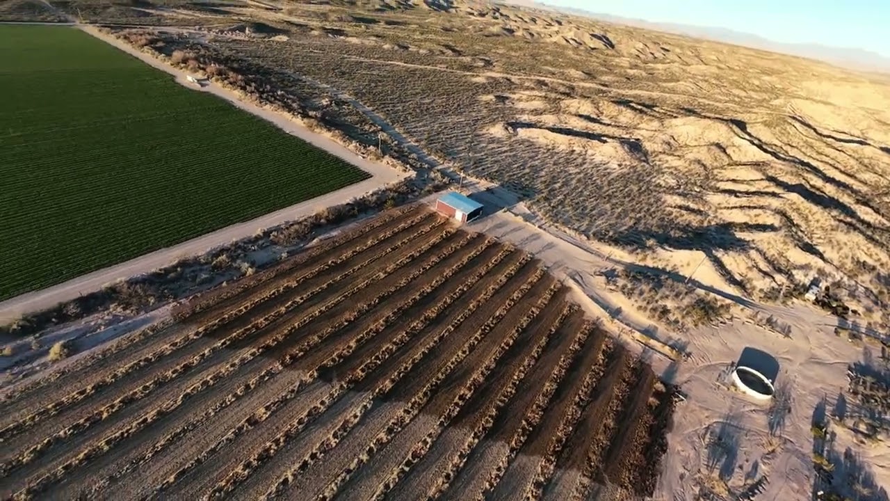Quick check of irrigation using DJI Avata 2 drone