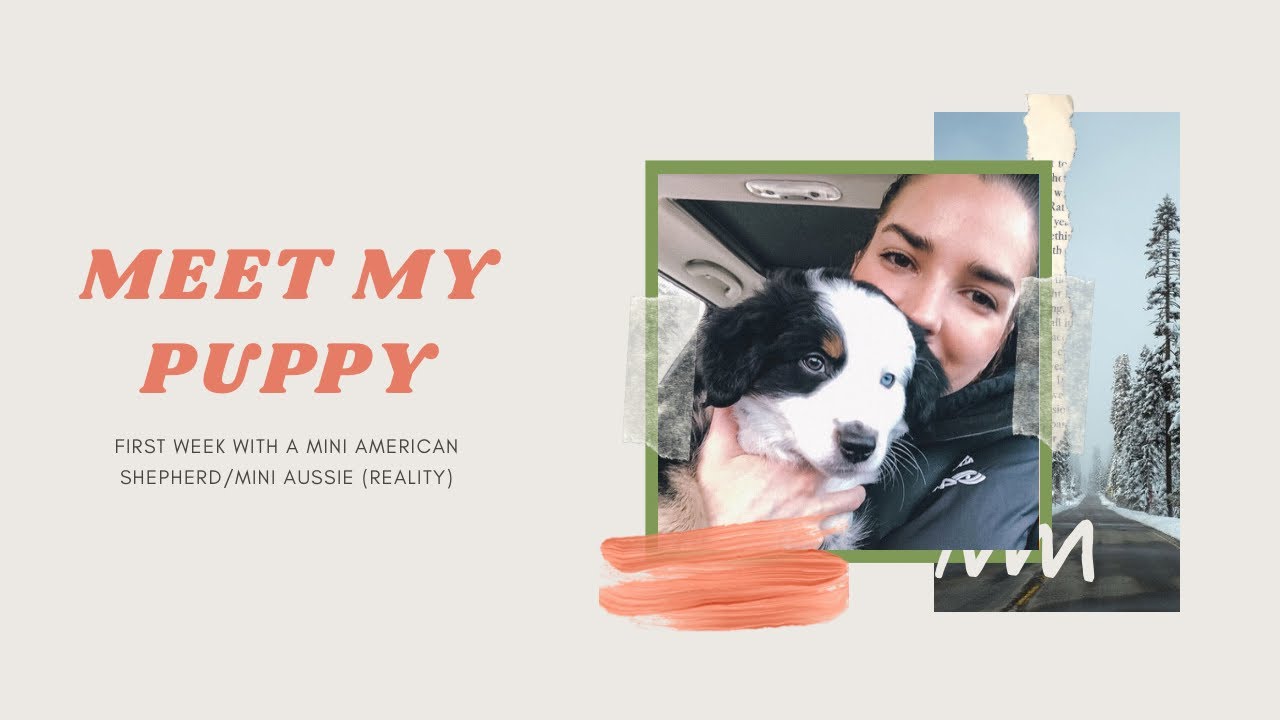 First Week With Puppy! (Reality)