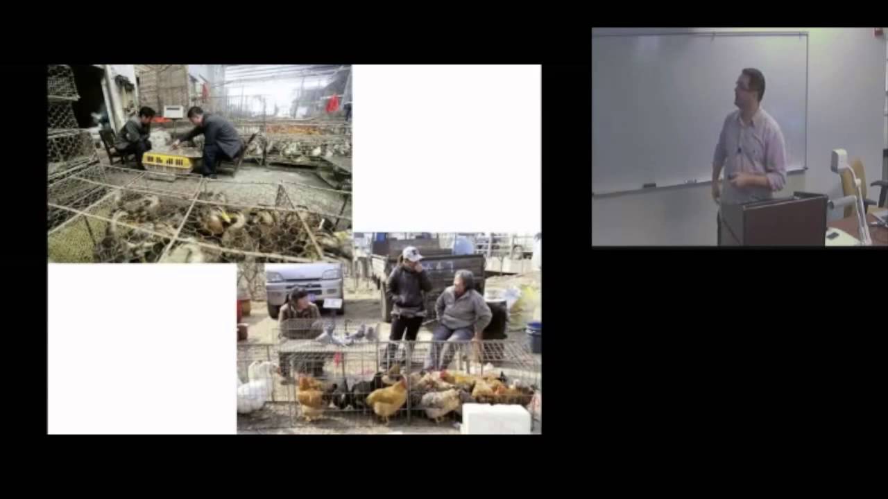Ecology and Evolution of Emerging Zoonotic Infections - Dr Gavin JD Smith