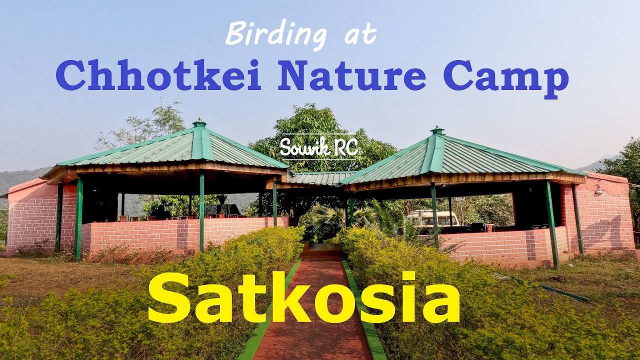 Ep 11/15: Birding at Satkosia - Chhotkei Nature Camp | Eagles, Nightjars, Fulvettas, Woodpeckers