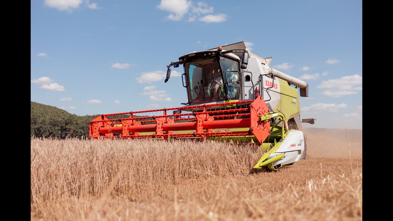 Žně 2024 - CLAAS EVION 430 + VARIO 620 - Statek Peštík