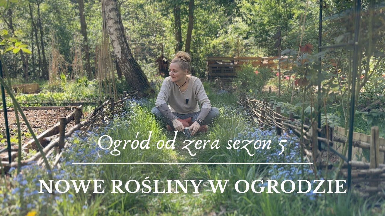 Nowe rośliny w naszym ogrodzie [ogród od zera s05]