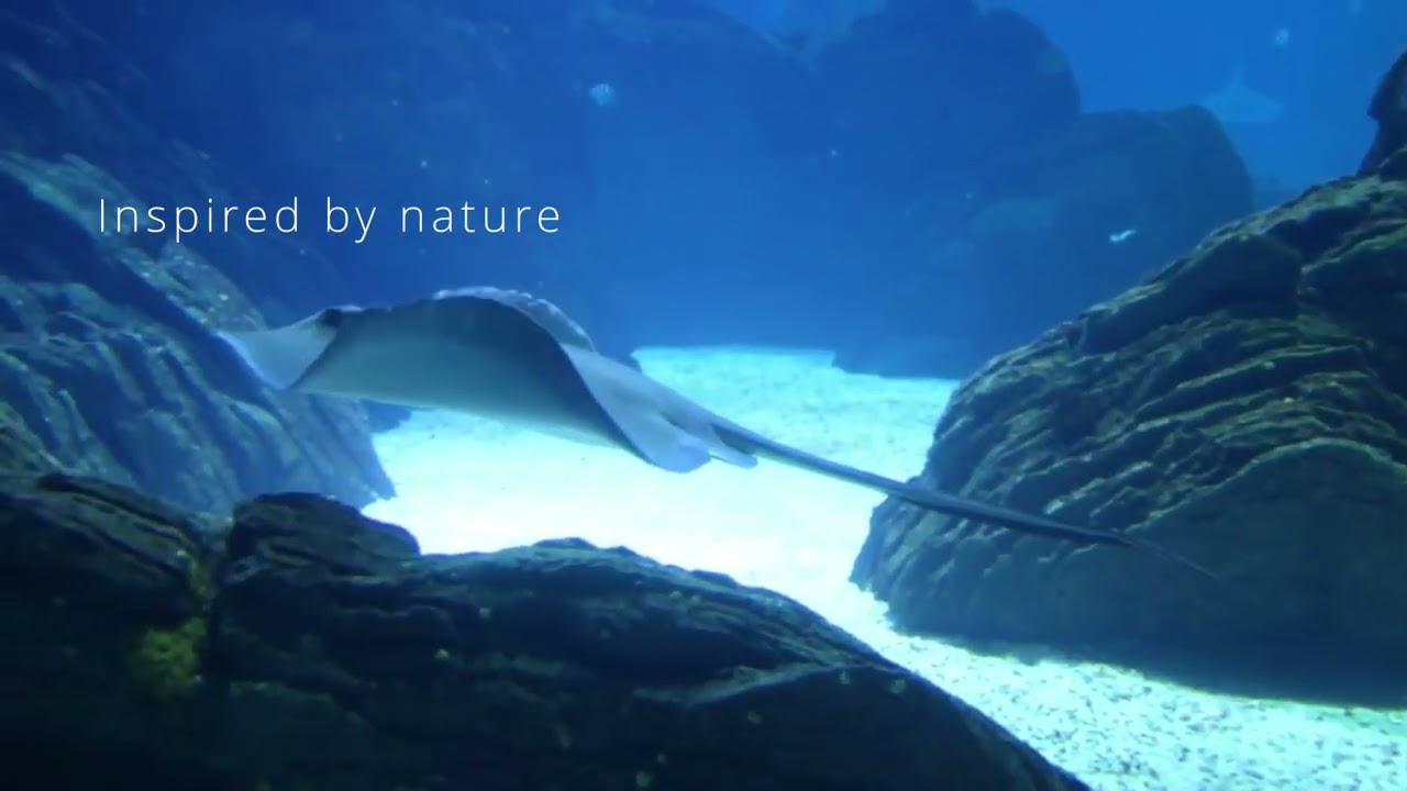 A miniature swimming robot inspired by marine flatworms