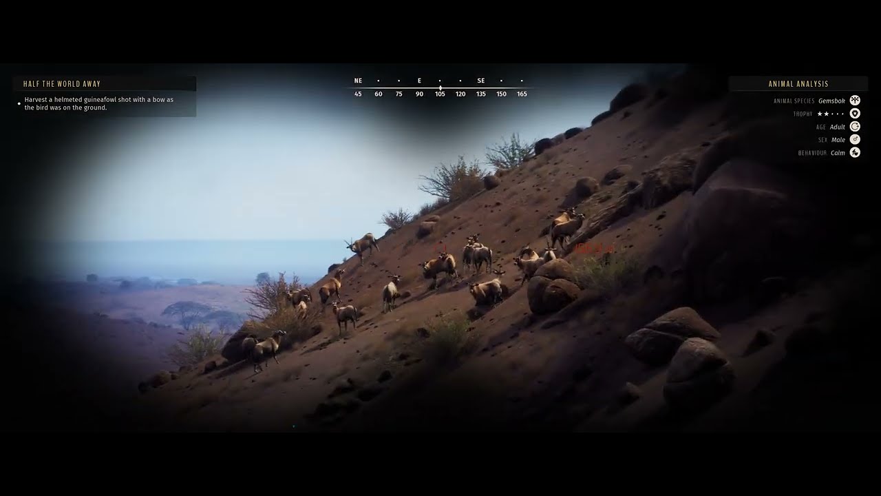Way Of The Hunter, Tikamoon Plains, 5 Star Gemsbok with Compound Bow 13 yard shot