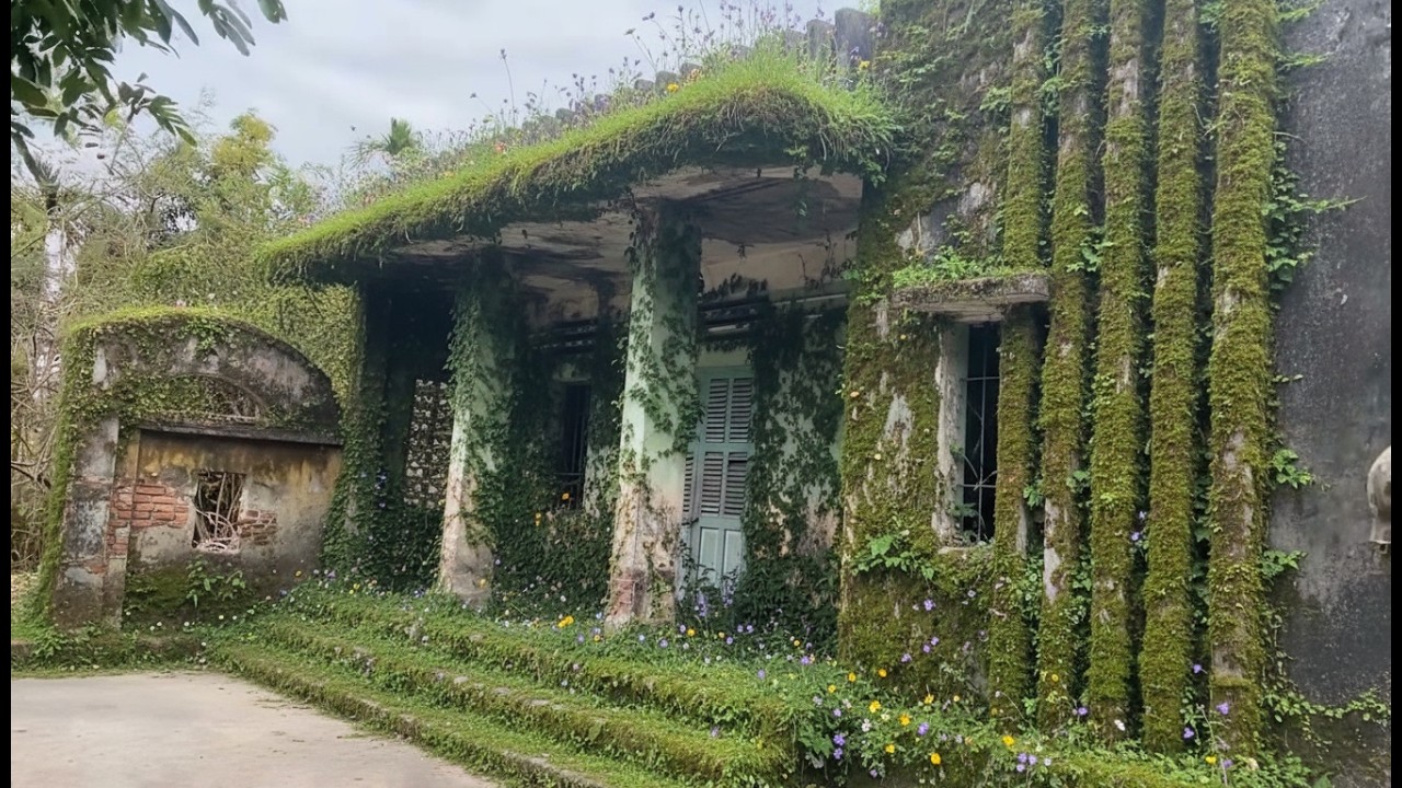 Cleaning up a haunted house that's been abandoned for 50 years