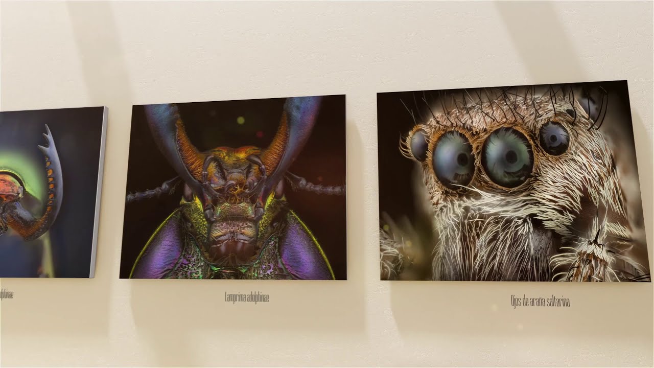 Javier Ruperez - Macro Extremo - 2021
