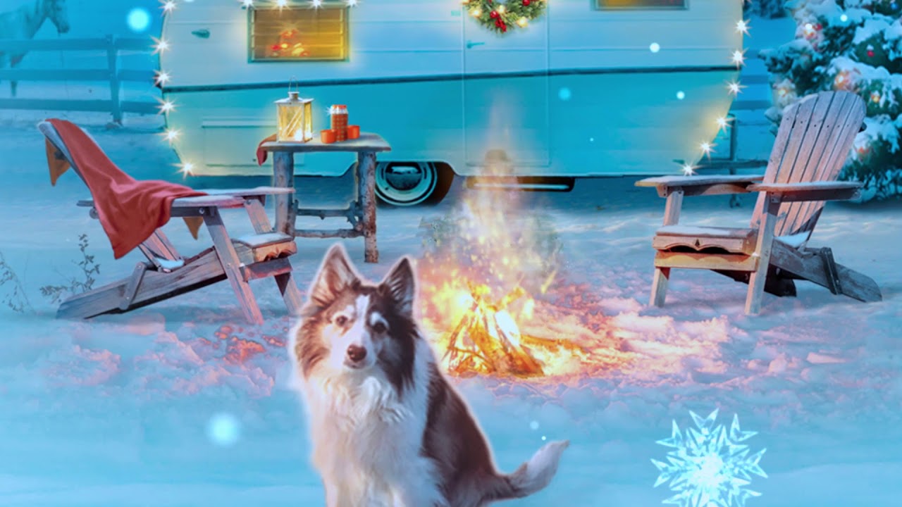The Christmas Room by Catherine Anderson