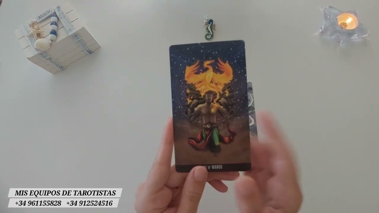 🫡❤️¿QUE HAY EN SU CABEZA Y CORAZÓN HACÍA TI?❤️🫡 TAROT INTERACTIVO