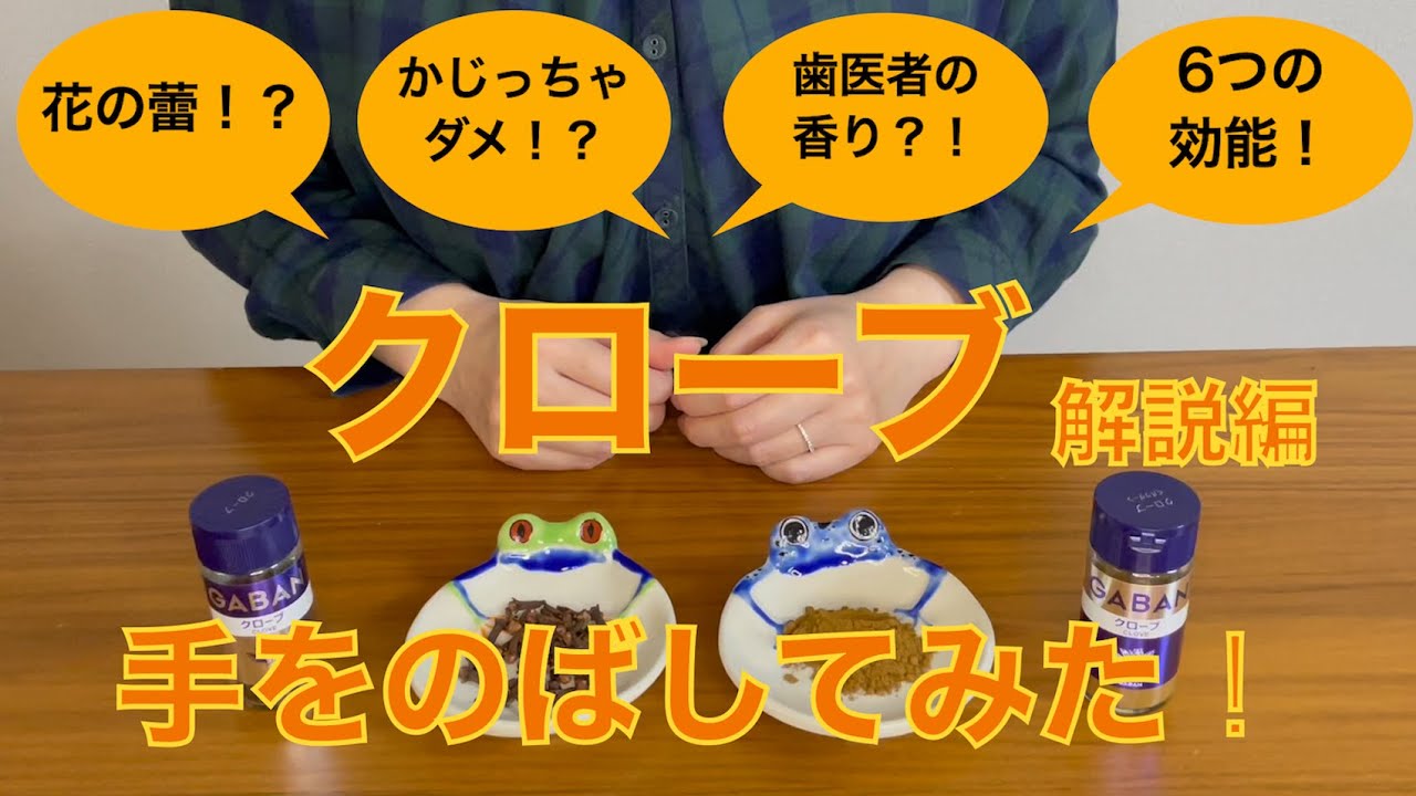 【ともさまがえるpresents　かじって体験　クローブ解説編】クローブの魅力をお伝えします！